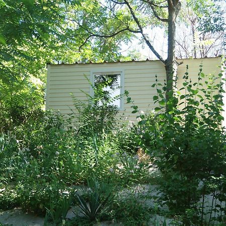Camping Les Sources Saint-Jean-du-Gard Eksteriør billede